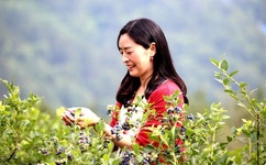 好莱坞最新大片